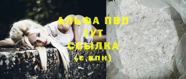 спиды Абаза