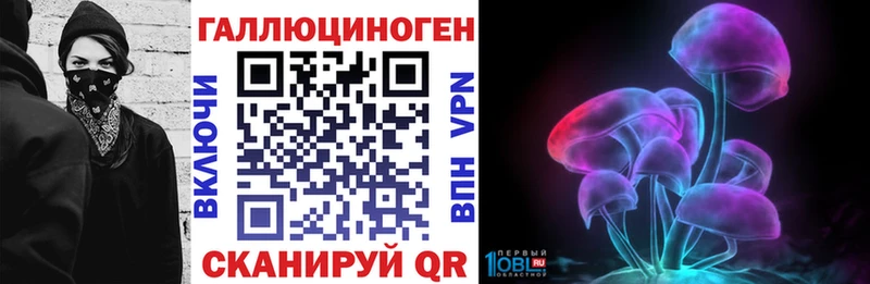 darknet Telegram  Анапа  Псилоцибиновые грибы Psilocybe 